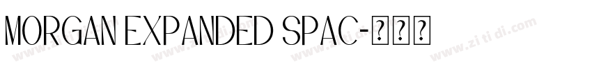 Morgan Expanded Spac字体转换